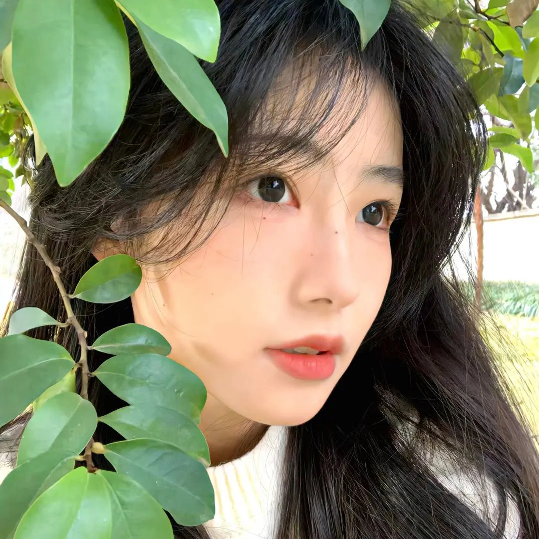 琴与罗莎